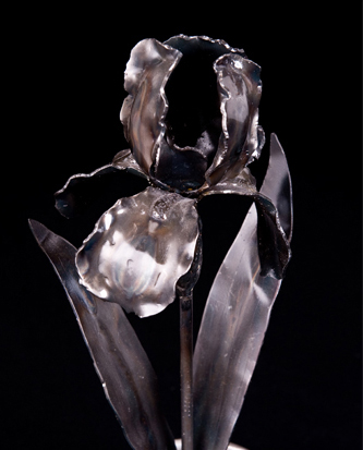 Image05